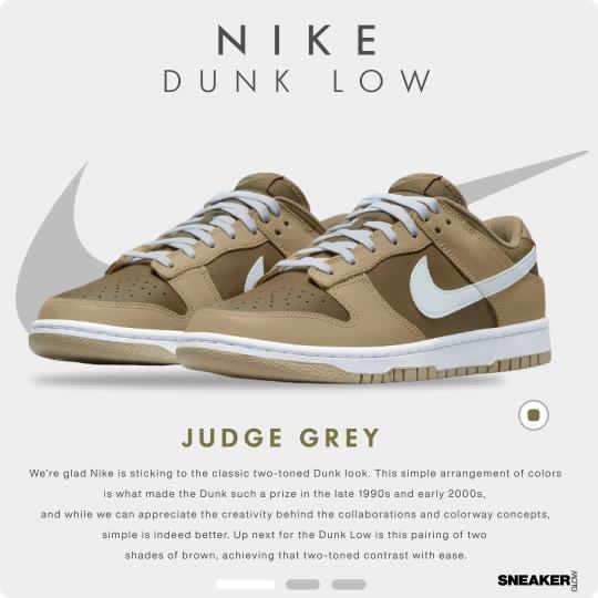 NIKE DUNK JUDGE GREY