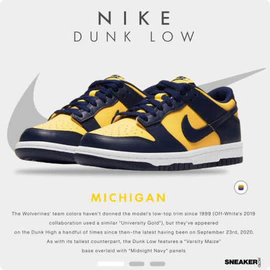 NIKE DUNK LOW MICHIGAN 2021